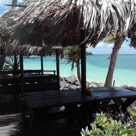 St Martin Nettle Bay Lovely Appartment Sandy Ground Exteriör bild
